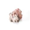 Image 8 : Holbrook, Arizona Triassic Petrified Wood Samples