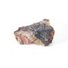 Image 13 : Holbrook, Arizona Triassic Petrified Wood Samples
