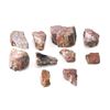 Image 1 : Holbrook, Arizona Triassic Petrified Wood Samples