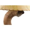 Image 3 : Rocky Mountain Ram Horn Burl Wool Rawhide Lamp
