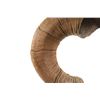 Image 4 : Rocky Mountain Ram Horn Burl Wool Rawhide Lamp