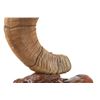 Image 9 : Rocky Mountain Ram Horn Burl Wool Rawhide Lamp