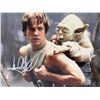 Image 1 : Star Wars Mark Hamill signed photo