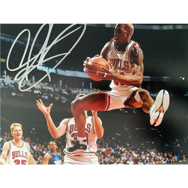 Chicago Bulls Dennis Rodman signed photo
