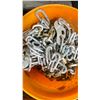 Image 2 : WOODEN CRATE OF ASSORTED HEAVY DUTY TRUCK TIRE CHAINS