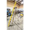 Image 2 : 6' YELLOW FEATHERLITE LADDER & 8' LEVEL