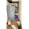 Image 1 : METAL STORAGE CABINET + CONTENTS - ASSORTED AUTOMOTIVE SPRAY PAINTS, AUTOMOTIVE ADDITIVES,