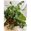 Image 4 : Faux Potted Plants