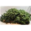 Image 1 : Seasonal Garland