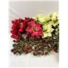 Image 2 : Christmas Plant Decor