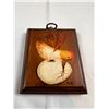 Image 2 : Avian Home Decor