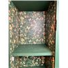 Image 2 : Painted Display Cabinet