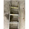 Image 2 : Extension Ladder