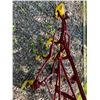 Image 3 : Antique Farm Decor
