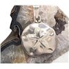 Image 8 : Vintage Taxco TN-48 Sterling Silver Sand Dollar Pendant