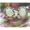 Image 5 : Genuine Opal & Tsavorite Garnet Omega Earrings