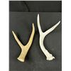Image 2 : Vintage Collectible Lot - Carved Moose Antler, Indigineous Art, Pewter Horse, Horseshoe,etc