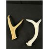 Image 3 : Vintage Collectible Lot - Carved Moose Antler, Indigineous Art, Pewter Horse, Horseshoe,etc