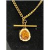 Image 3 : Vintage Pocket Watch Chain w/ Antler Fob Original Patina a