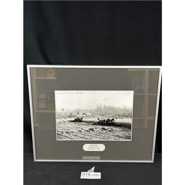 16" x 13" Framed 1905 Matsqui Praire Harvesting Photo MSSA Museum Society