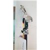 Image 2 : 12' POLE AND PRUNER