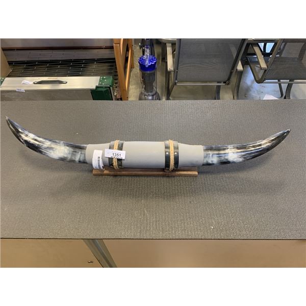 SET OF MOUNTED BULL HORNS