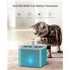 Image 1 : NEW NICREW 2L PET WATER FOUNTAIN