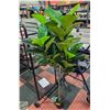 Image 1 : NEW CROSOFMI 4FT ARTIFICIAL PLANT