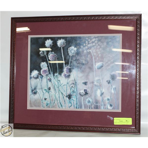 FRAMED LIMITED EDITION #11/958 "THISTLE" 20"X17.5"