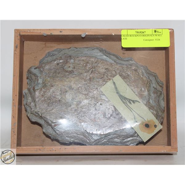 SEALED ROCKPOTORIGINALS WALL SLATE
