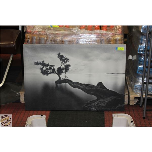 OIL ON CANVAS TREE ON WATER 36"X24" FRAME MOUNTED