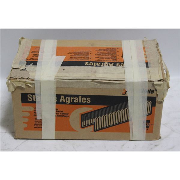 2" 16GA STAPLES