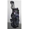 Image 1 : VINTAGE GOLF SET IN GOLF BAG
