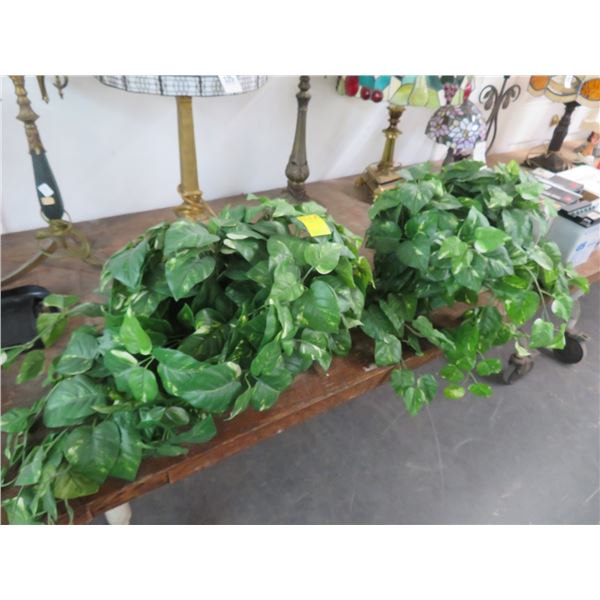 Silk Ivy Plants - 2