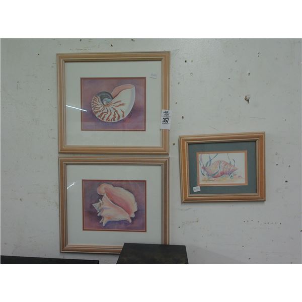 Small Sea Shell Wall Art - 3