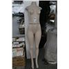 Image 1 : Female Mannequin Tall