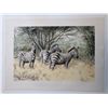 Image 1 : A Dazzle of Zebras Print