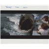 Image 1 : Jaws 2 signed movie photo