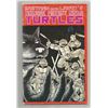 Image 1 : Mirage comics Teenage Mutant Ninja Turtles#1 (1988) 5th print