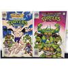 Image 4 : Archie comics Teenage Mutant Ninja Turtles Adventures (1991)