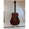 Image 1 : Norman Acoustic Guitar - 40" Length - Pickup Only