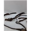 Image 3 : Spur Straps, Saddle Strings, Breast Collar, Curry Comb