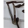 Image 4 : Spur Straps, Saddle Strings, Breast Collar, Curry Comb