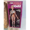 Image 2 : Revell Brand - The Visible Women Model Kit - Appears All There