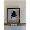 Image 1 : Framed Dung Beetle in Frame - 6" x 2" x 5" - CANNOT SHIP