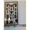 Image 1 : Large Asian Insect Set in Frame - 14" x 2" x 8" - CANNOT SHIP