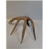 Image 4 : Deer Antler Shed - 10" x 12" x12" - PREFERRED PICK-UP