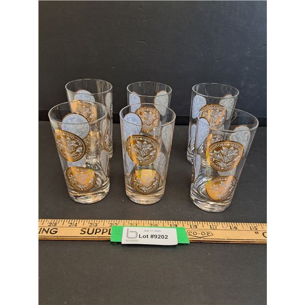 (6) Manitoba Dollar Coin Glasses - 1870-1970 100th Anniversary Set