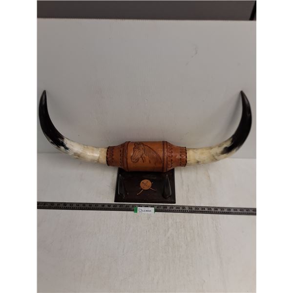 Mounted Bull Horns - 30x15x9" - PICK UP ONLY