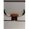 Image 1 : Mounted Bull Horns - 30x15x9" - PICK UP ONLY